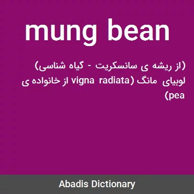 معنی mung bean